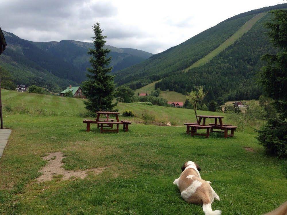 Apartmany Vysluni Špindlerŭv Mlýn Exterior foto